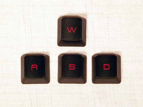 wasd-taster