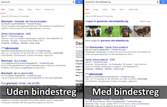 Bindestreg