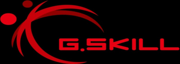 G. SKILL logo